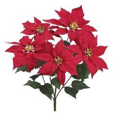 POINSETTIA BUSH 22" RED