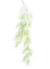 BOSTON FERN 41" CREAM/GREEN