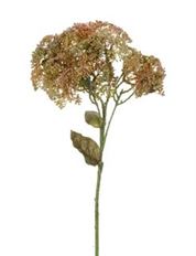 SEDUM SPRAY 22" BROWN/IVORY