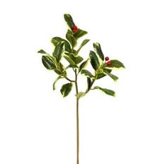 HOLLY ROUNDED LEAF 15.5" RED