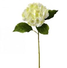 HYDRANGEA STEM 19" CREAM WHITE