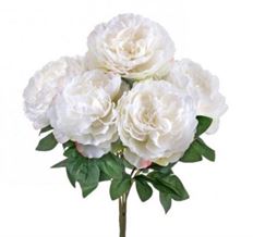 PEONY BUSH X 5 17" WHITE