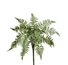 BUSH LEATHER LEAF X13 18" LT GREEN