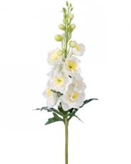DELPINIUM GARDEN 27.5&quot; WHITE