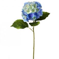 HYDRANGEA STEM 19" BLUE GREEN
