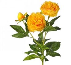 PEONY SPRAY X3 30" YELLOW