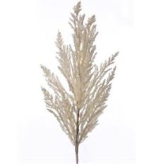SPRAY 27&quot; SORGHUM GRASS CREAM