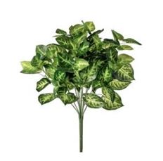 NEPHTYTUS BUSH 17" PU YELLOW GREEN