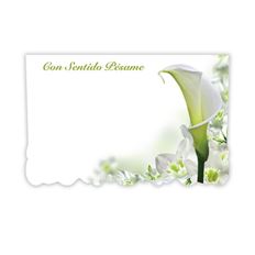 CARD SP CON SENTIDO PESAME 50/PKG