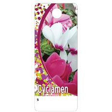 CARE TAGS CYCLAMEN 100PK