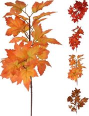 BRANCH AUTUMN 36" 4 ASST