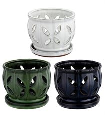 PLANTER ORCHID ASSORTED LARGE