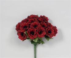 ANEMONE BUSH X18 13&quot; BURGUNDY