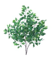 FICUS TREE BRANCH 24.5" GREEN