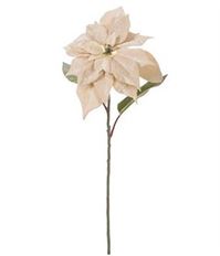 POINSETTIA VELVET 28" IVORY