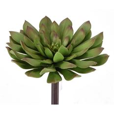 MUM AGAVE PICK 6" GREEN