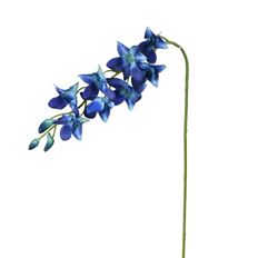 DENDROBIUM BLUE BOMB 27&quot; BLUE