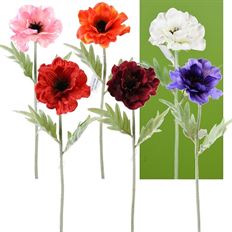 POPPY 17" 6 ASST COLOR