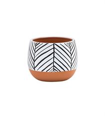 POTTERY 4" ZEBRA/TERRA