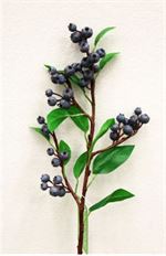 BLUEBERRY SPRAY 23" BLUE