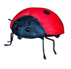LADYBUG 10.5" RED/BLACK
