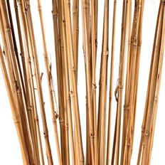 RIVER CANE 3.5' NATURAL 25/PK