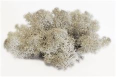 MOSS REINDEER 4 OZ NATURAL