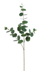 MONEYPLANT LEAF 33.9" SLATE