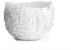 POTTERY  FOSSIL 6.5X9" WHITE