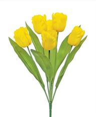 BUSH PARROT TULIP X6 19" YELLOW
