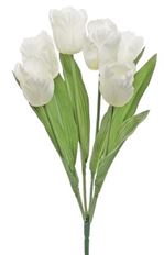 BUSH PARROT TULIPX6 19" WHITE