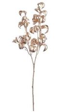 FICUS CURLY METALLIC 24" CHAMP