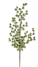 CRABAPPLE SPRAY 29" WR GREEN