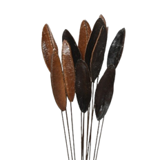 ASTER TRIANGLE BEAN 16" 12/PK