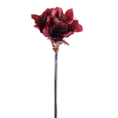 AMARYLLIS 19&quot; RED
