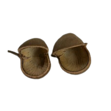 BUDHA NUT NATURAL 2/PK