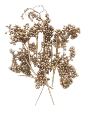 CANELLA GOLDLEAF 6OZ BU