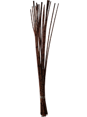 CANNA BAMBOO MAHOGANY 25/PK