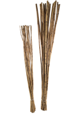 CANNA BAMBOO NATURAL 25/PK