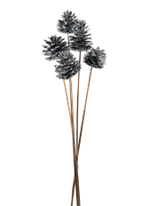 PINECONE AUSTRICA SILVER 100/CS