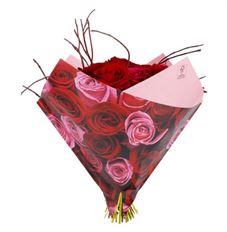 SLEEVE ATHENA ROYALE 14" RED PK/25