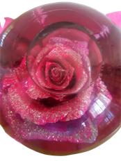 ROSE GLOBES