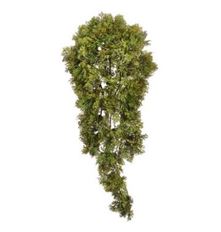 MOSS HANGING VINE 14" GR/MO