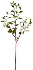 POKEBERRY BRANCH 64" GREEN