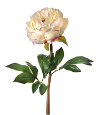 PEONY JUST CUT 22" LAVENDER