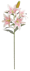 LILY RUBRUM X4 W/ BUD 43"