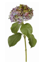 HYDRANGEA 25.5" LAV/PURPLE