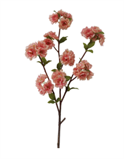 PEACH BLOSSOM SPRAY 41" LTPK
