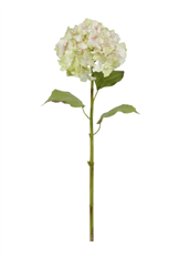 HYDRANGEA 28" PINK GREEN