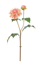 DAHLIA 19.5" LIGHT MAUVE